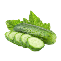 Cucumis sativus